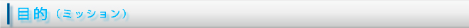 目的（ミッション）